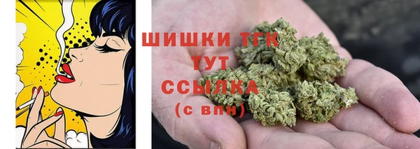 индика Баксан