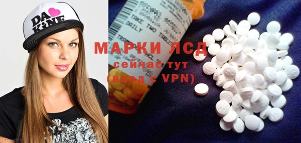 индика Баксан