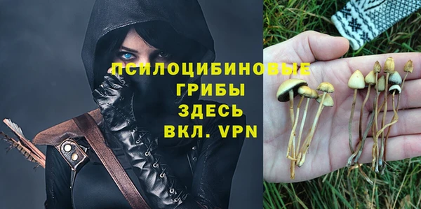 индика Баксан