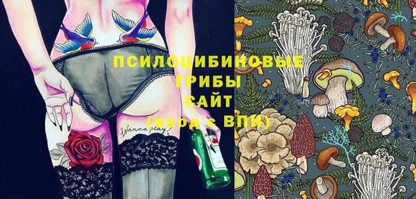 индика Баксан