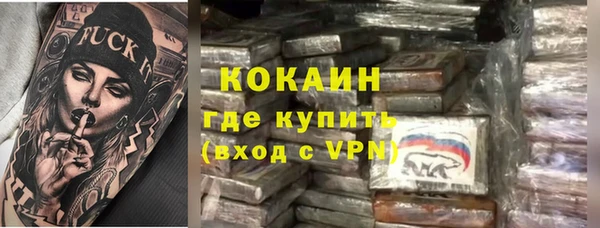 индика Баксан