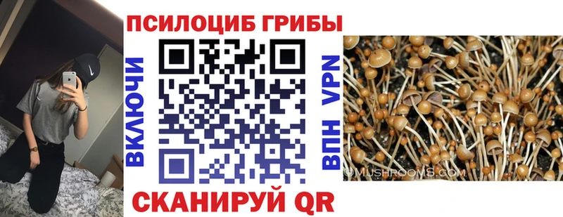 Галлюциногенные грибы Psilocybine cubensis  kraken tor  Нижние Серги 